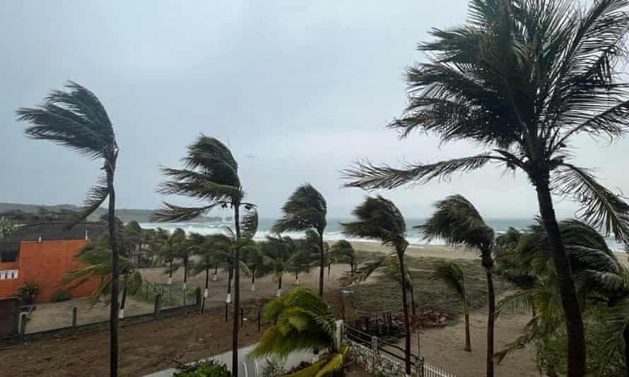 Palm trees sway in the wind as Hurricane Agatha pounds the southern coast of Mexico