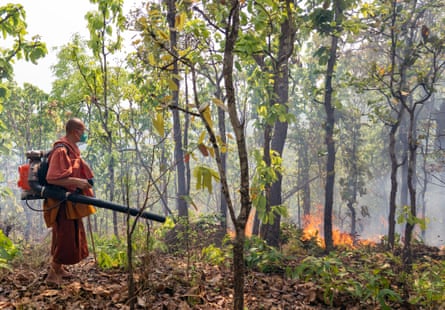 A Buddhist monk extinguishes a wildfire in a forest.