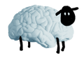 sheep made of brain 