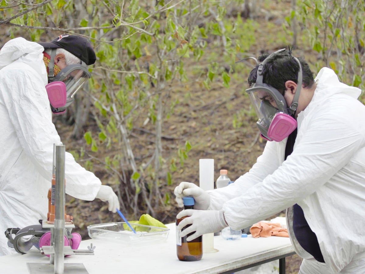 Revealed: how Mexico's Sinaloa cartel has created a global network to rule the fentanyl trade | Mexico | The Guardian
