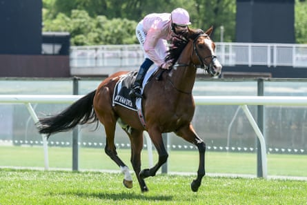 Aidan O’Brien’s Derby winner, Anthony Van Dyck, at the Melbourne Cup in 2020.