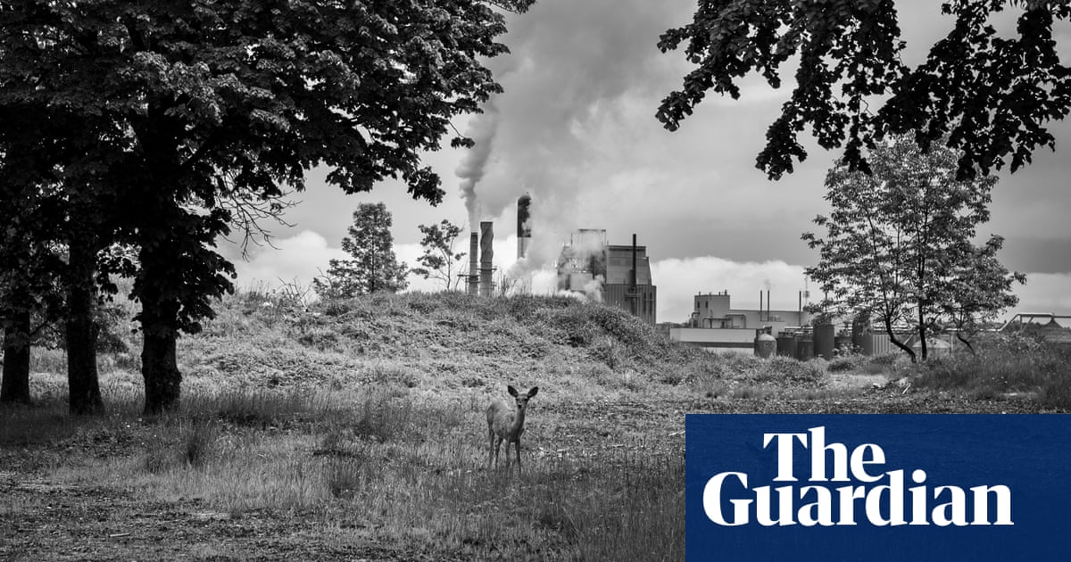 Under a cloud: the city smothered in smog in pictures
