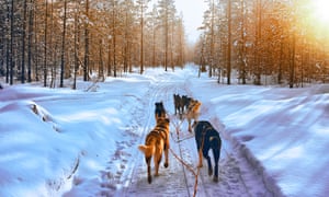 ‘Within the mountains, I really feel fully free’: how snow-capped peaks assist skiers actually unwind | Come residence to the slopes 3 Husky Dogs in Sled in Rovaniemi in Finland Lapland sunset