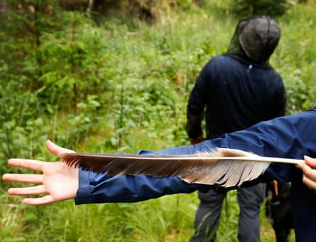 An eagle feather is held along an outstretched human arm to show its size - it extends from above the elbow joint to the first joint ot the thumb.