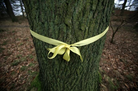 Protest ribbons are tied around trees in the Forest of Dean against government draft plans to privatise and sell off forests