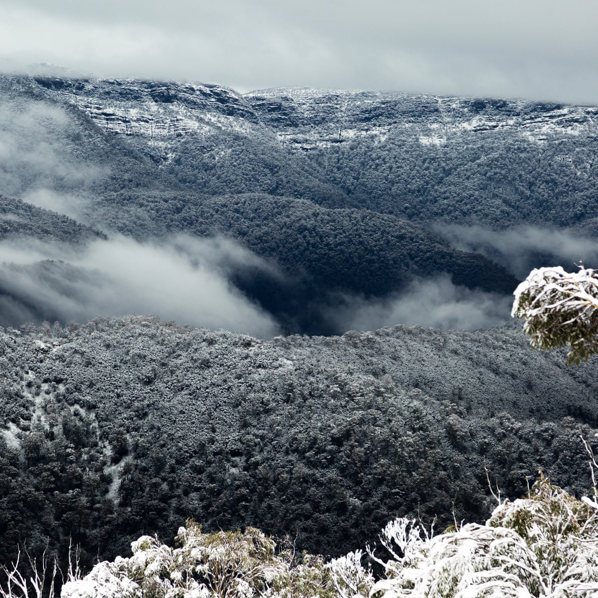 Australian Mountain Regions Hit By Summer S Bushfires Now Blanketed By Snow Australia News The Guardian