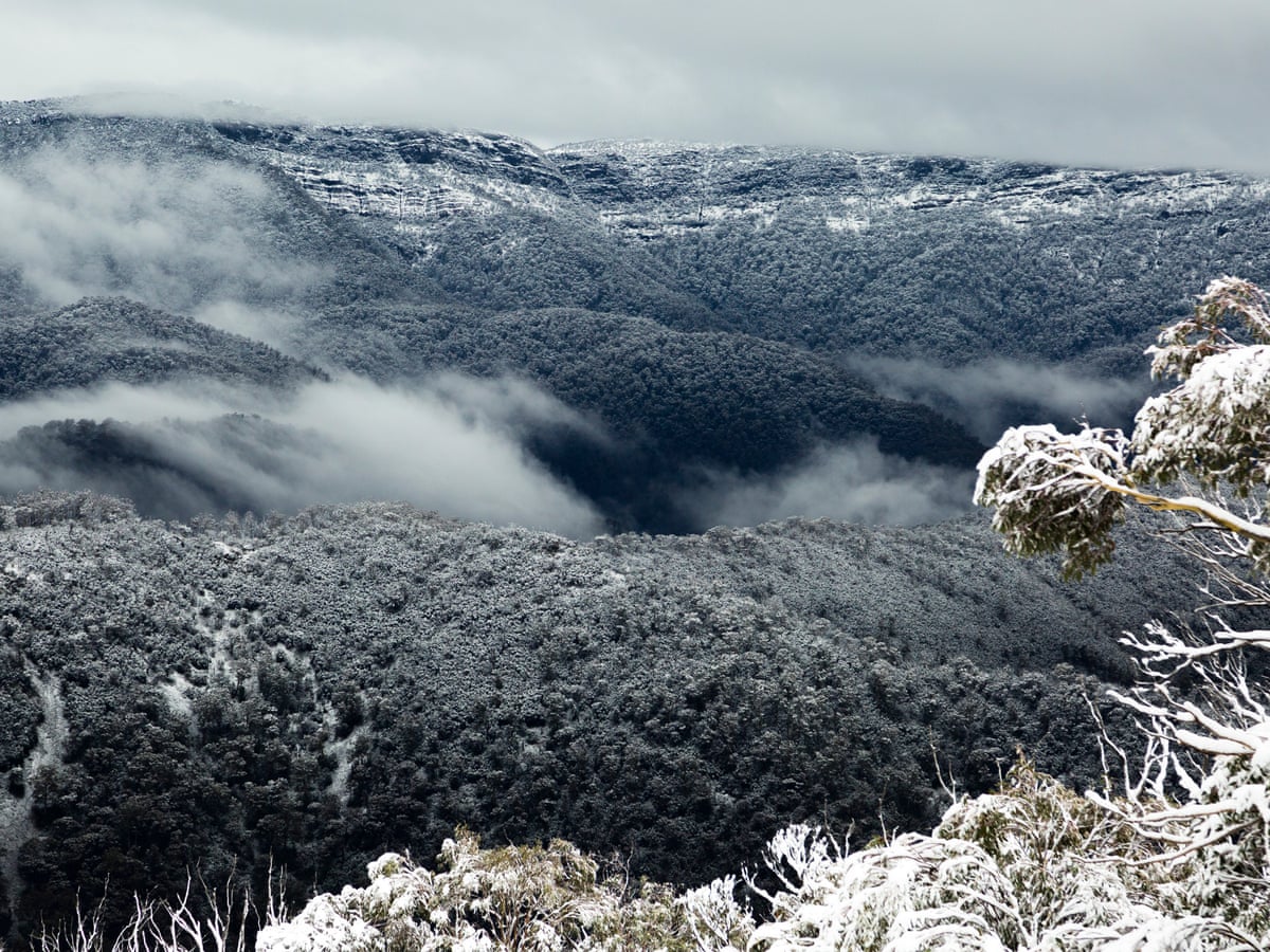 Australian Mountain Regions Hit By Summer S Bushfires Now Blanketed By Snow Australia News The Guardian