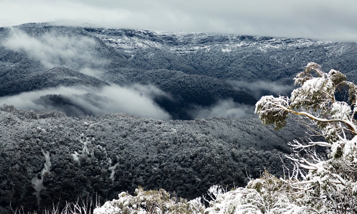 Australian Mountain Regions Hit By Summer S Bushfires Now Blanketed By Snow Australia News The Guardian