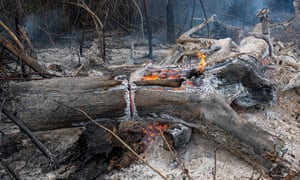 Fire on a farm in the region of Novo Progresso, Para. 25 August 2020.