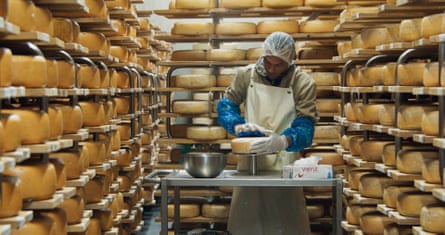 A man in a room lined with shelves of big yellow round cheeses.