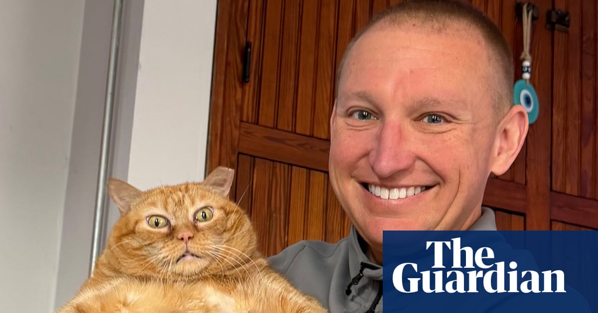 The pet I’ll never forget: Pumpkin, the rescue cat turned social media star