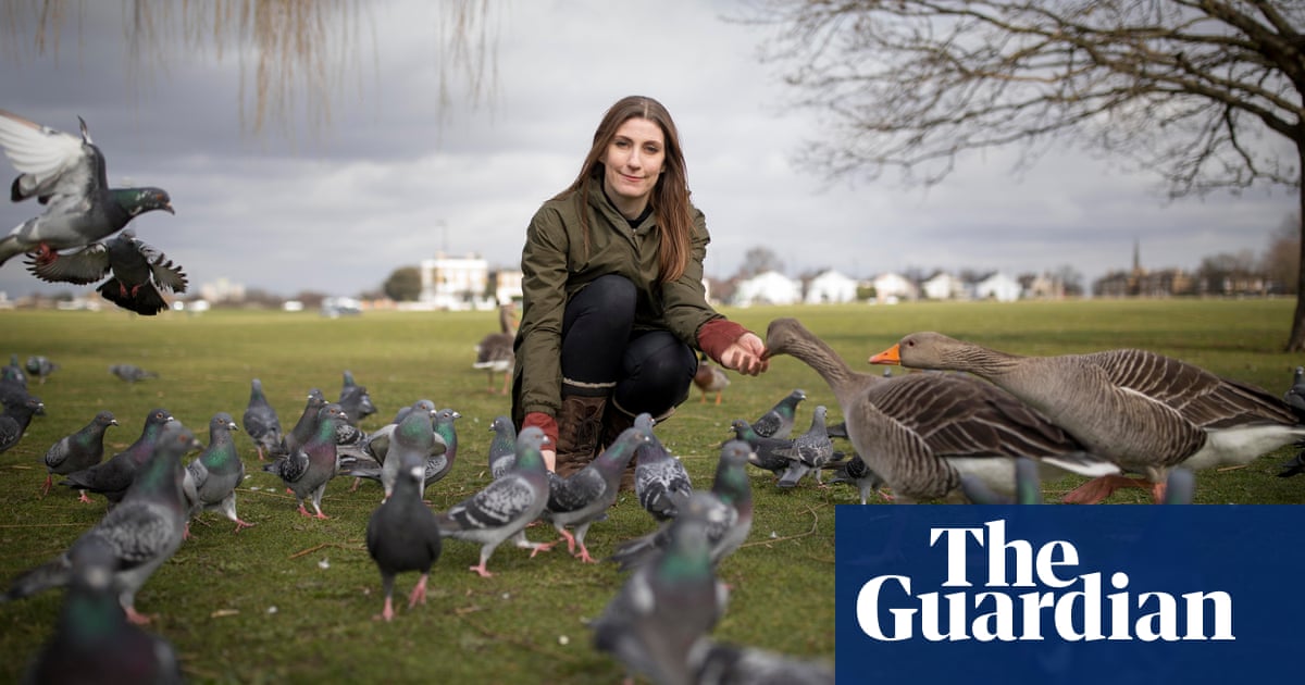 The wildlife whisperer – meet the ‘bird lady’ who paddles into freezing water to save animals
