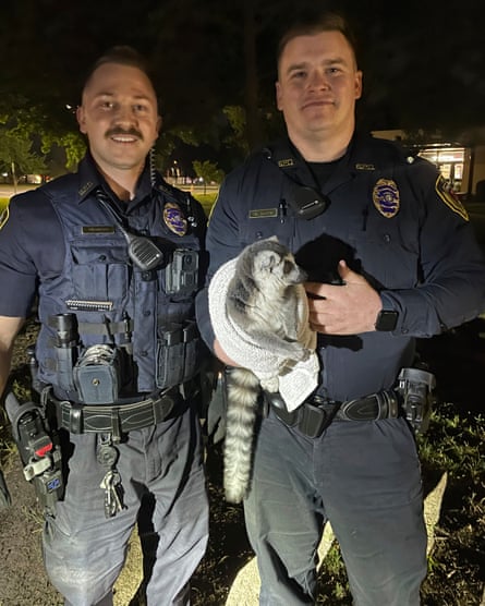 Two smiling men in navy blue uniforms, one appearing Latino and the other white, smile as the white officer holds a small, black-and-white lemur wrapped in a sort of grubby white towel.