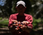 Honduran Farmers Labeled Terrorists for Land Defense
