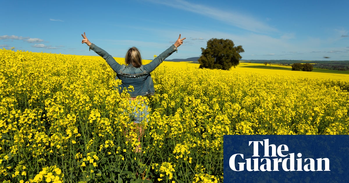 Canola field selfies: Australian farmers warn tourists against ‘dangerous’ social media trend