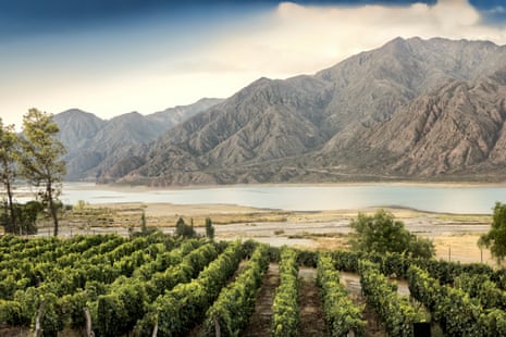 At 1380 meters above sea level in the Andes, Malbec is one of the few wines to thrive at such heights.