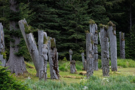 Mortuary poles carved from cedar mark the burial places of notable Haida people. Surviving poles are seen here at SG̱ang Gwaay.