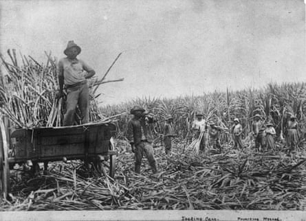 Historical black and white photograph of South Sea Islander labourers loading cut sugar cane into a wagon