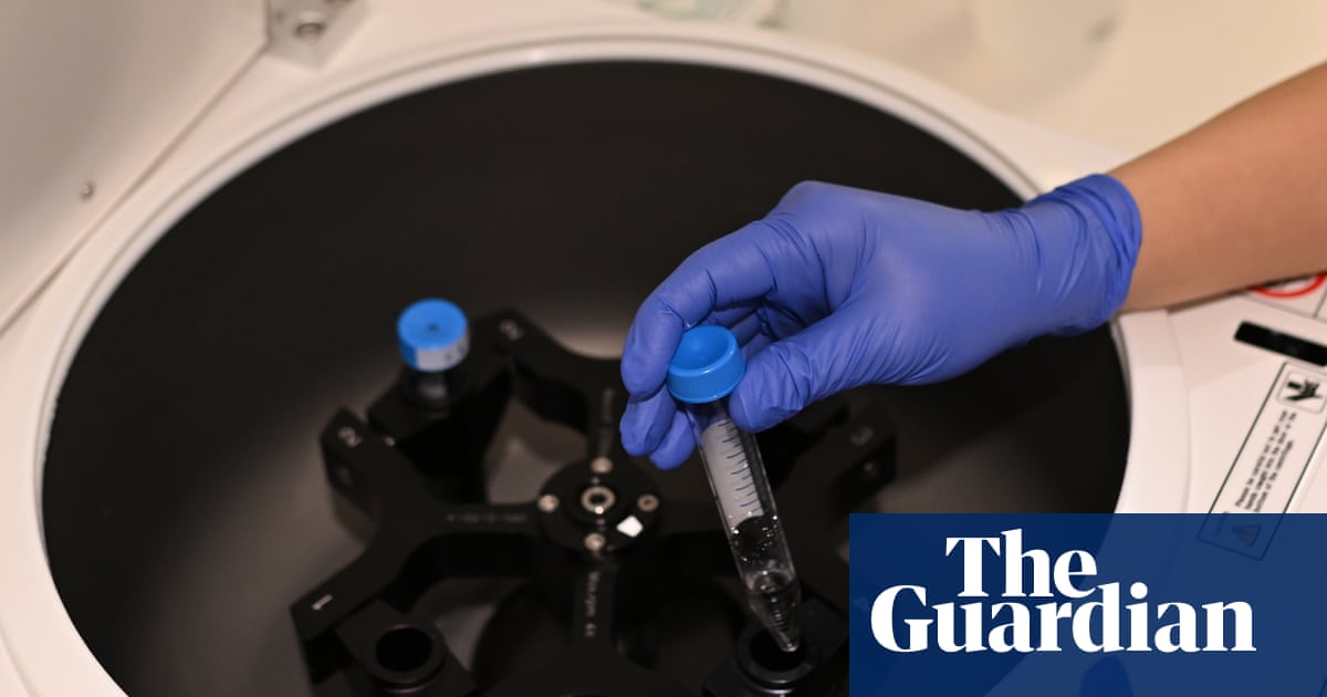 UK IVF couples use legal loophole to rank embryos based on potential IQ, height and health