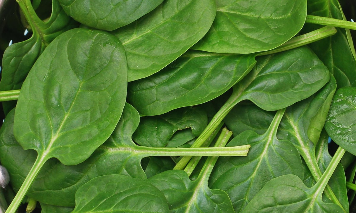 Spinach Leaves