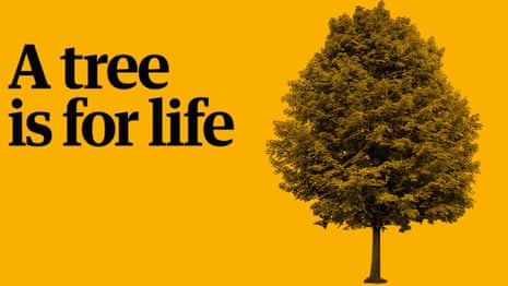 Play your part in the Guardian's charity appeal: a tree is for life – video 