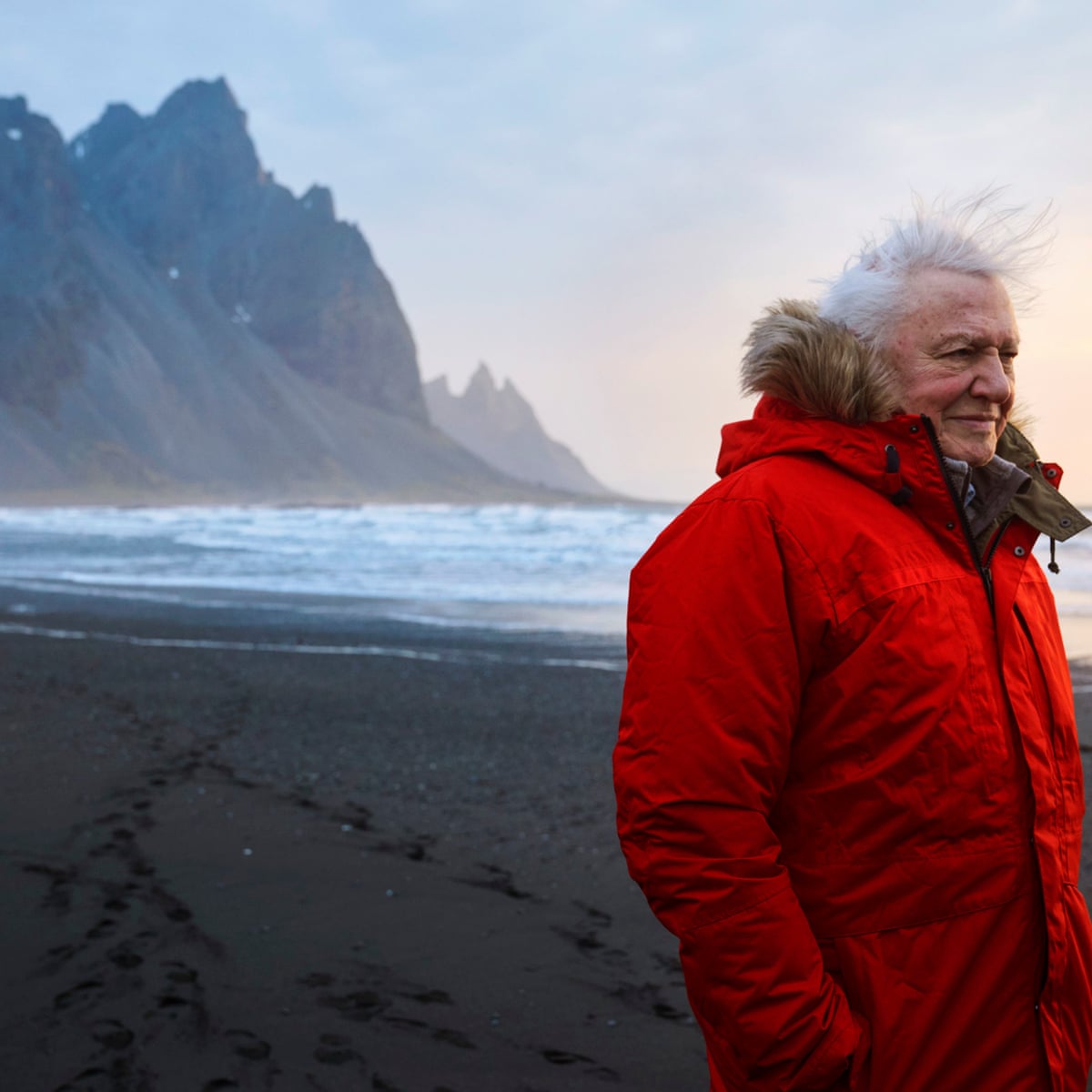 Seven Worlds One Planet Conservation Is The Key To New Attenborough Series Environment The Guardian Seven Worlds One Planet Conservation Is The Key To New Attenborough Series Environment The Guardian