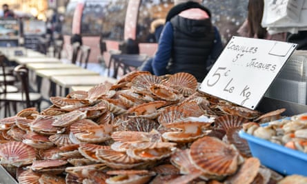Fresh scallops at a seafood market in Dieppe.