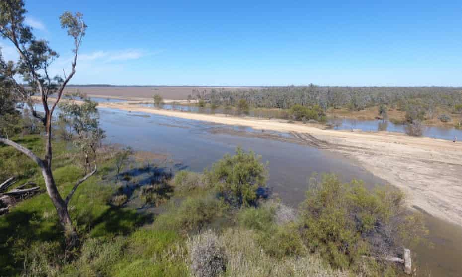 Wide shot of floodwaters banked up on Chris Lamey’s property, Goondiwindi, QLD.