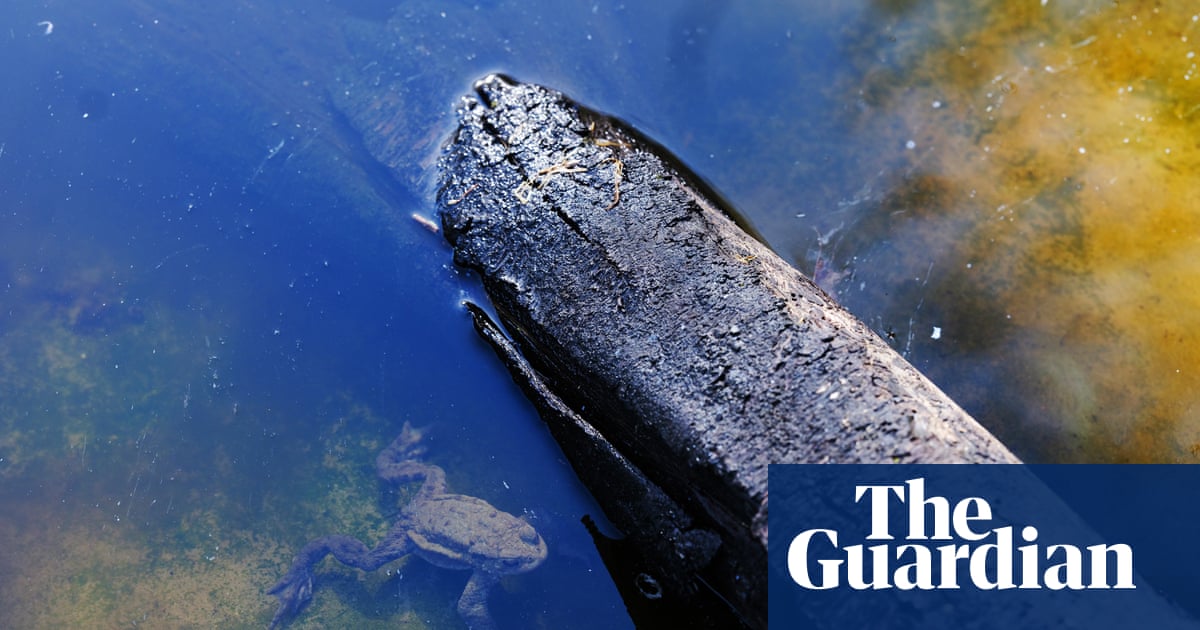 ‘It has changed my life’: How a dose of nature is treating mental illness