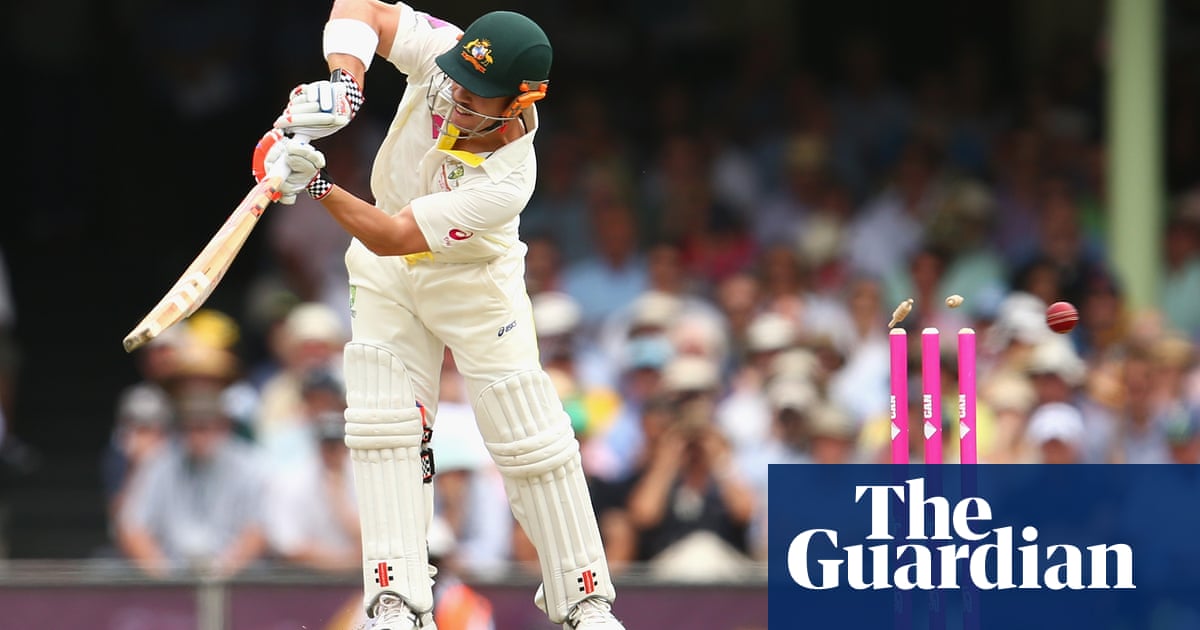 david-warner-to-play-significant-ashes-role-coach-andrew-mcdonald-says