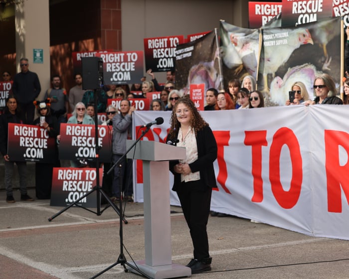 US student who took four chickens after breaking into a farm sentenced to 90 days in jail