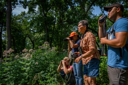 A line of people with binoculars stand in a wooded area