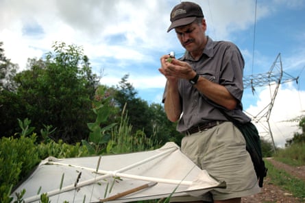A man by a shrub examines something small with a magnifying glass next to a net for collecting insects