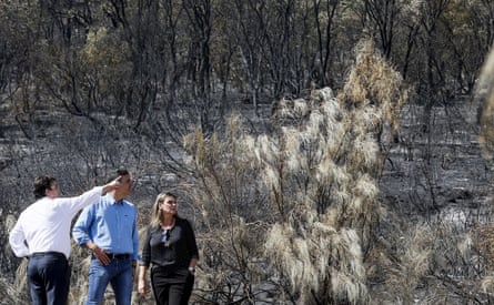 Pedro Sánchez and two other regional politicians stand beside large patch of burned and grey trees