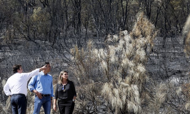 Pedro Sánchez in the wilderness