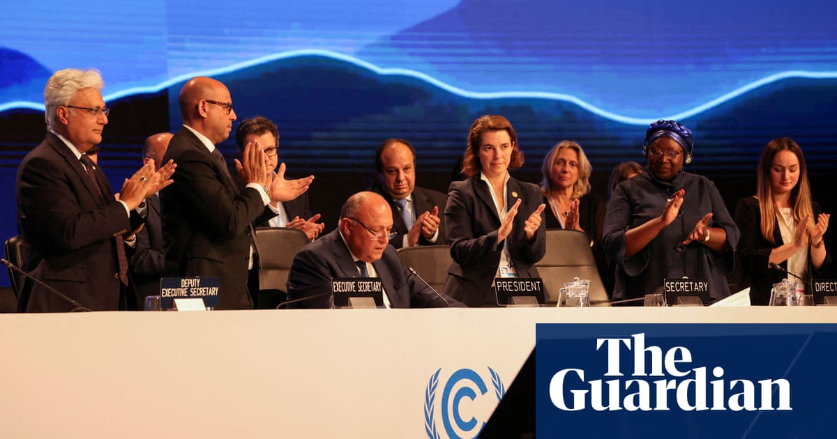 ‘We can do the impossible’: how key players reacted to end of Cop27 climate summit