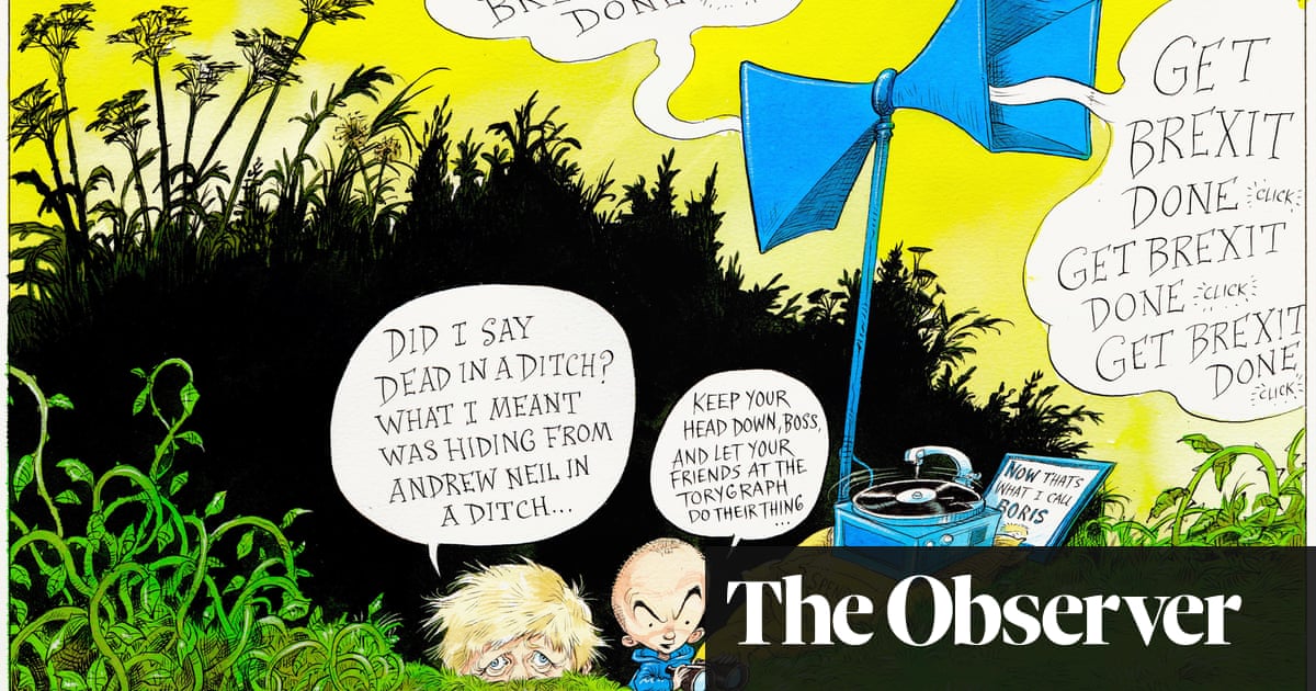 Boris Johnson S View From A Ditch Cartoon Opinion The Guardian