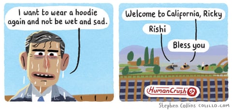 Rishi cartoon by Stephen Collins, panel 6