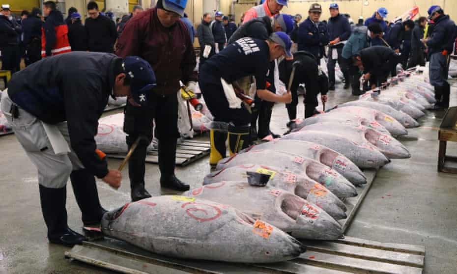 Buyers inspect frozen tuna at a wholesale fish market in Tokyo