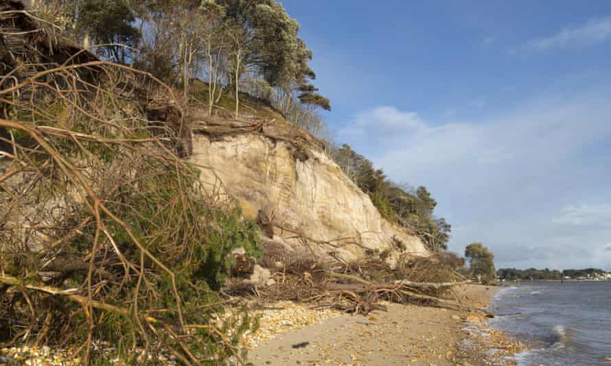 Storm-damaged cliffs and beach on the south shore of Brownsea Island, owned by the National Trust, in Dorset.