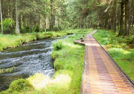Footpath next to river surrounded by woodland.