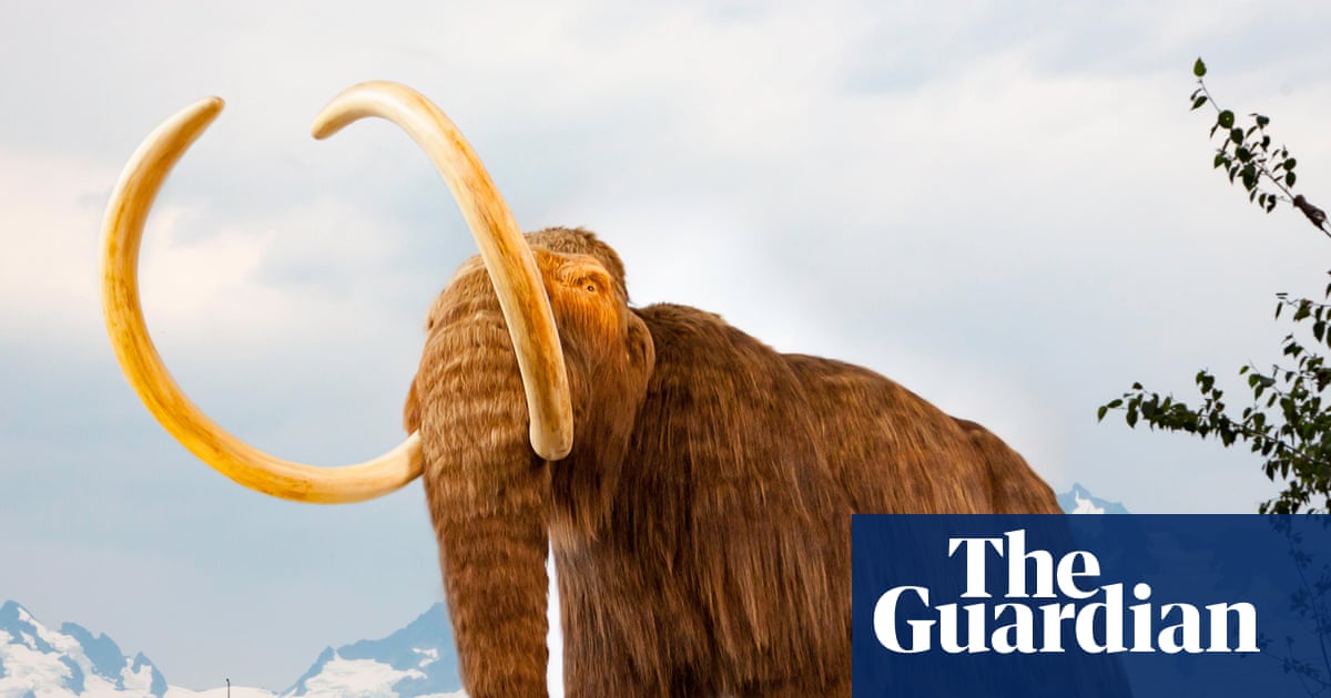 How living history is being written into rocks | Fossils How living history is being written into rocks | Fossils