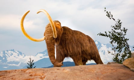 An artist’s impression of the woolly mammoth.
