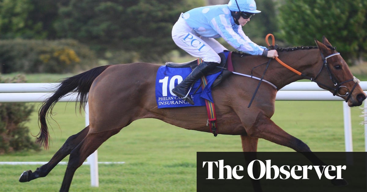 Honeysuckle lands Irish Champion Hurdle despite sketchy jumping