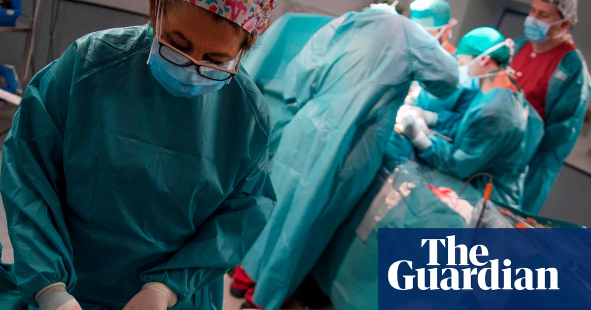 Restoration of pig organs after heart stopped raises hopes for transplants