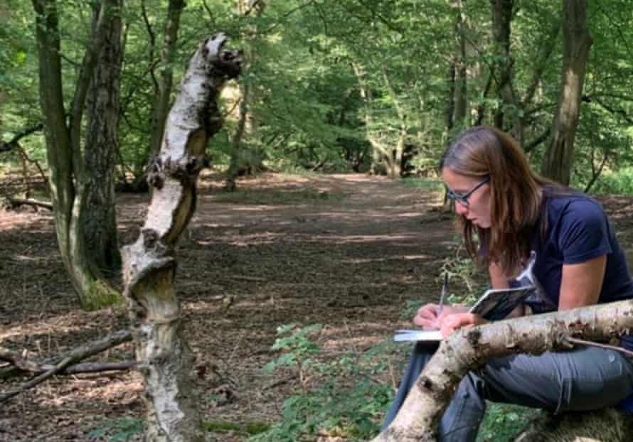 104093149 batchwoodsitspot