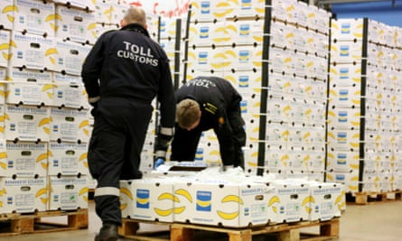 Norwegian custom officers search banana boxes imported from Ecuador