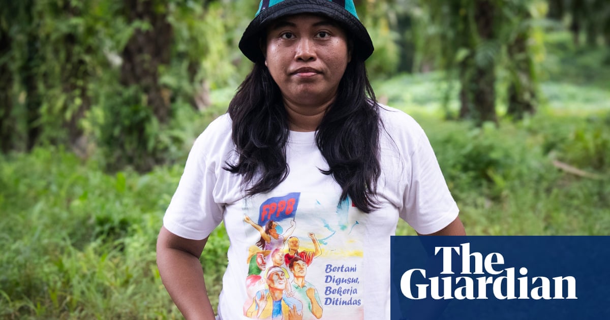 Death threats and falsehoods among online abuse reported by land and climate defenders