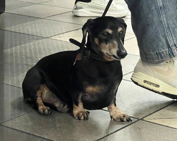 Nutmeg on the London Underground