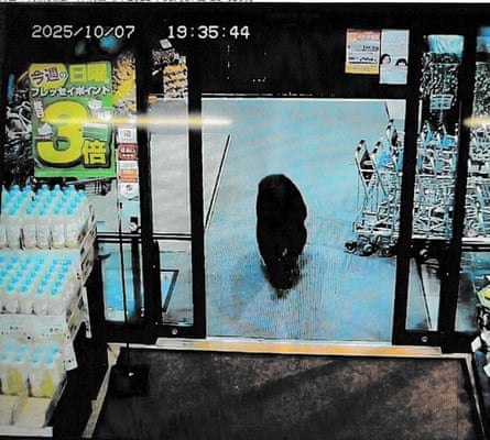 CCTV camera footage of a bear walking inside a supermarket in Numata, Gunma prefecture.